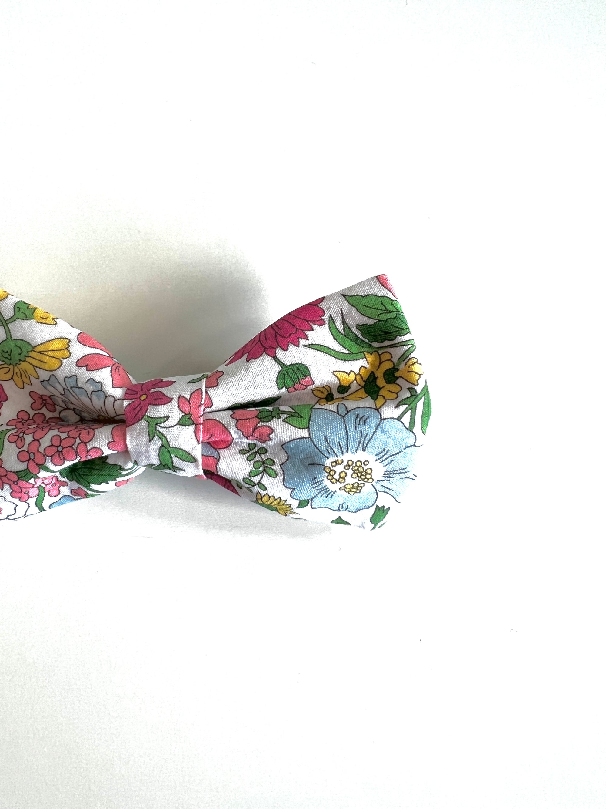 Lot de 2 barrettes-Aurora