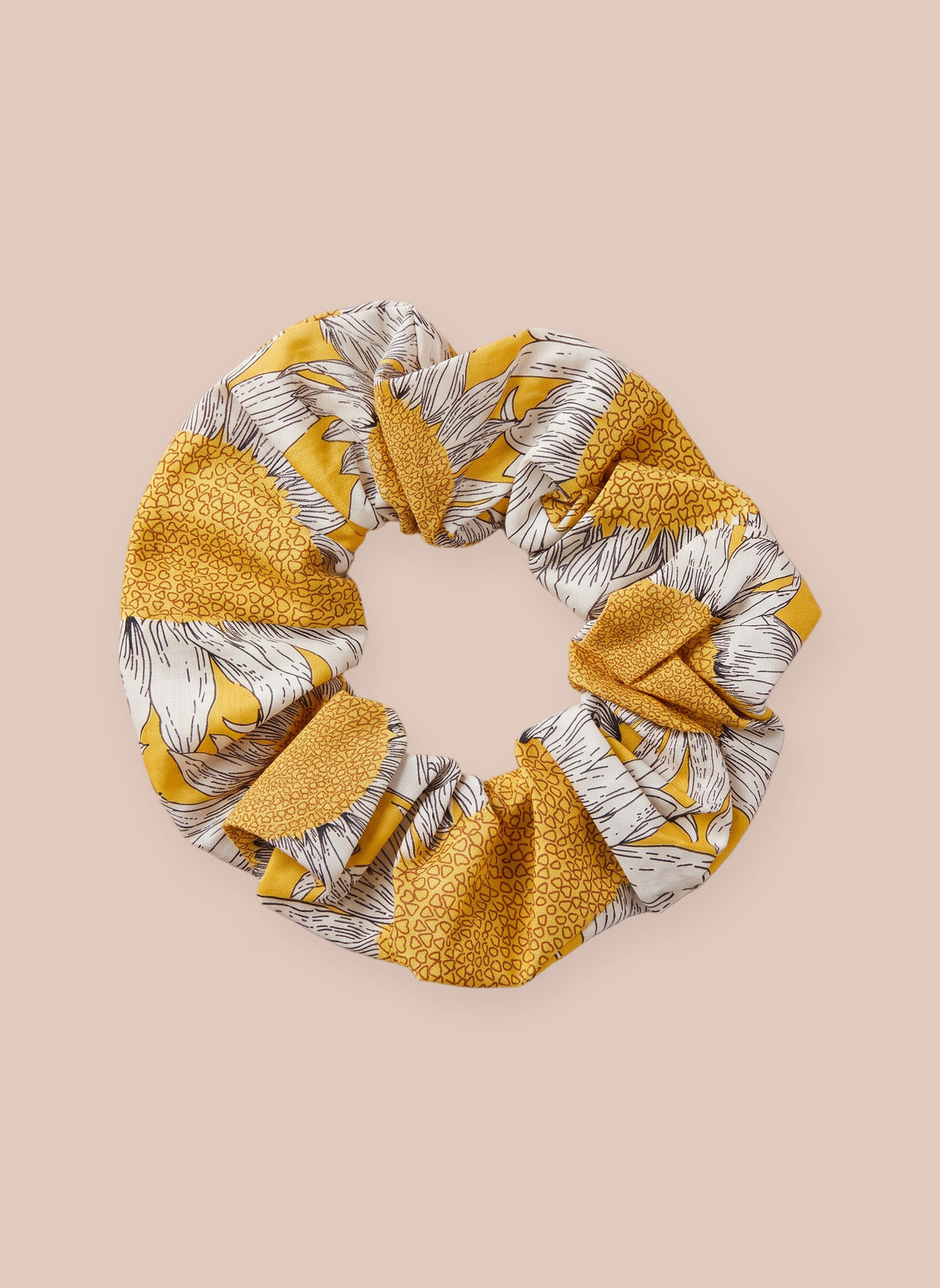 Chouchou Tournesol jaune, gros plan