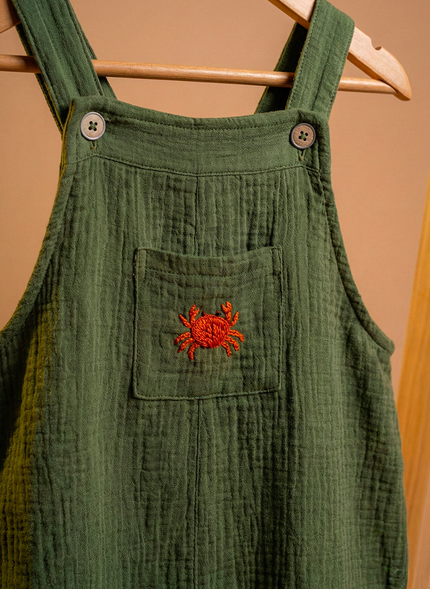 Collection Image